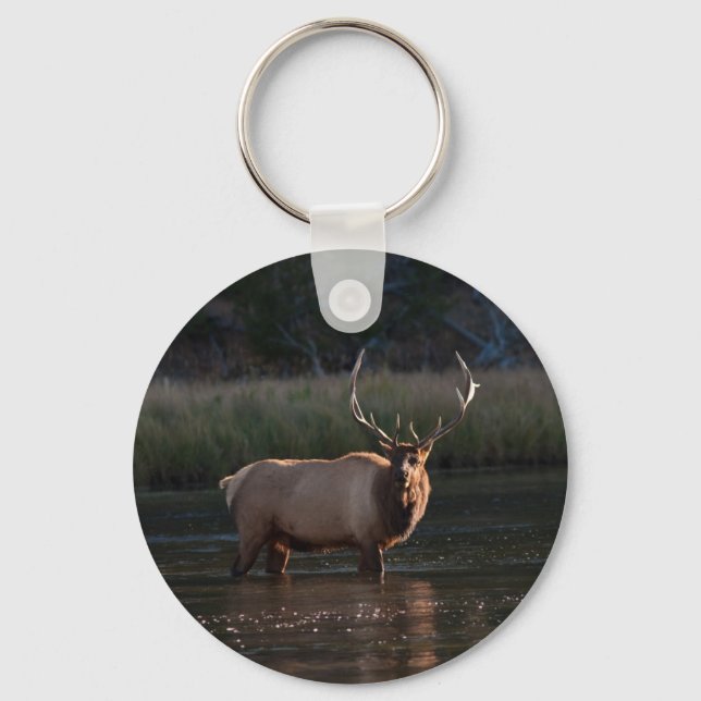 Llavero Bull Elk (Anverso)