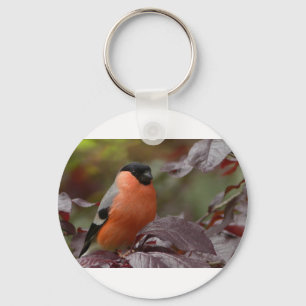 Llavero Bull Finch