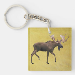 Llavero Bull Moose