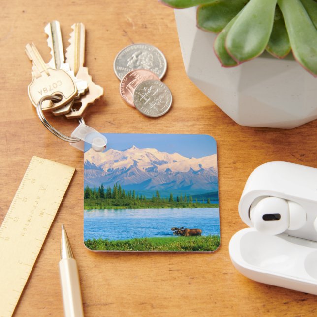 Llavero Bull moose in Wonder Lake (Escritorio )