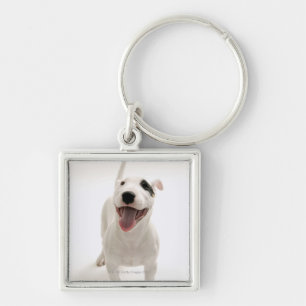 Llavero Bull terrier alegre