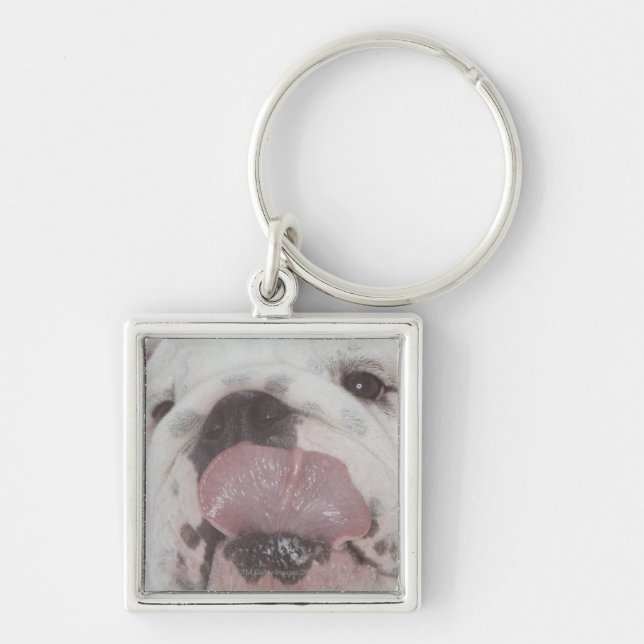 Llavero Bulldog 2 (Frente)