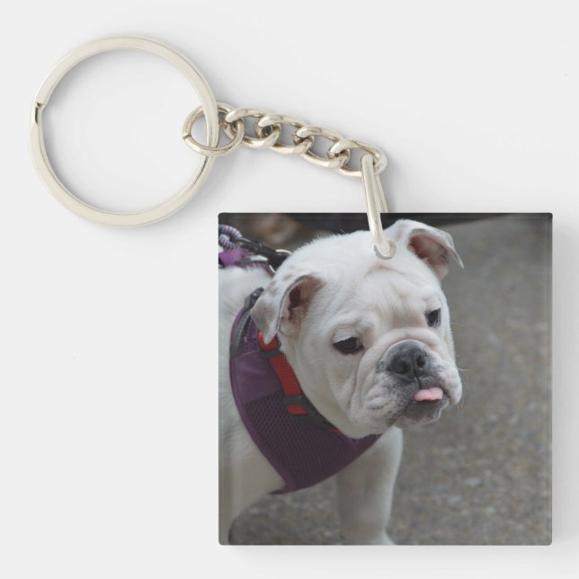Llavero Bulldog adorable (Frente)