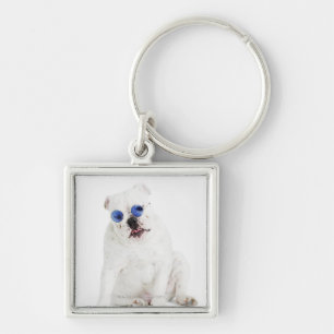 Llavero Bulldog blanco con las sombras teñidas azul
