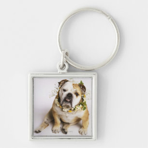 Llavero Bulldog con el cuello de la flor