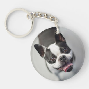 Llavero Bulldog francés de las imágenes el de Getty