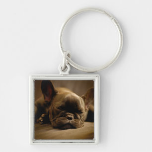 Llavero Bulldog francés soñoliento