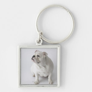 Llavero Bulldog inglés blanco