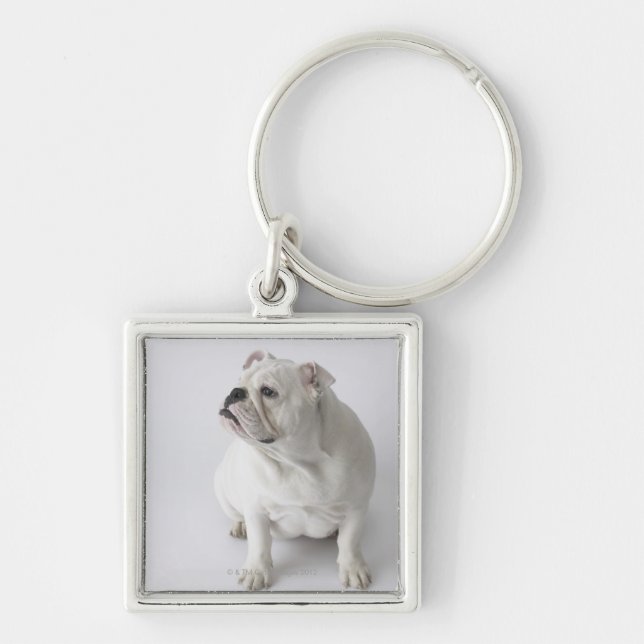 Llavero Bulldog inglés blanco (Frente)