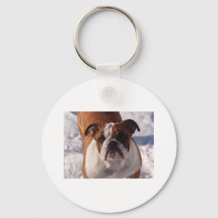 Llavero Bulldog Keychain