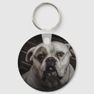 Llavero Bulldog lindo