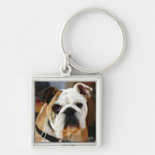Llavero Bulldog Premium Keychain