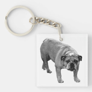 Llavero Bulldog Teclas Jingle