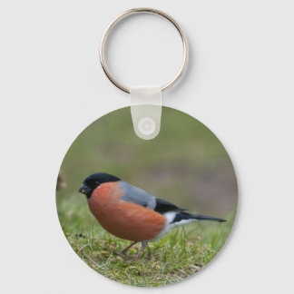 Llavero Bullfinch British Bird Keychain