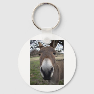 LLAVERO BURRO