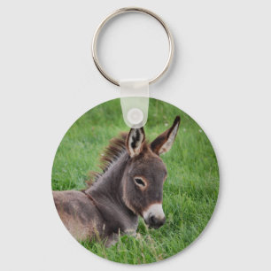 Llavero Burro En La Hierba