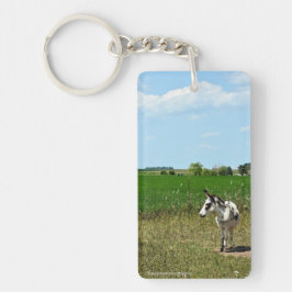 Llavero Burro en un campo