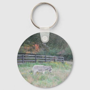 Llavero Burro en un campo otoñal.