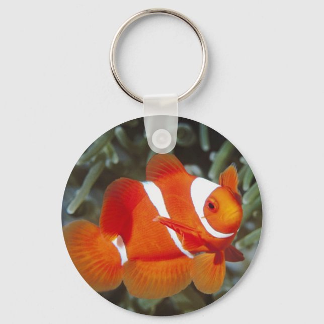 Llavero Buscando a Nemo (Anverso)