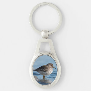 Llavero Buscando Sandpiper Rock