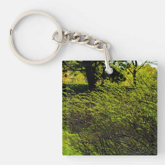 Llavero Bush (Frente)