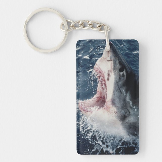 Llavero Buzón de tiburón elevado abierto (Frente)