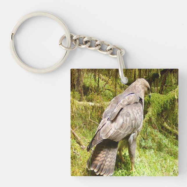 Llavero Buzzard buscando rencor (Frente)