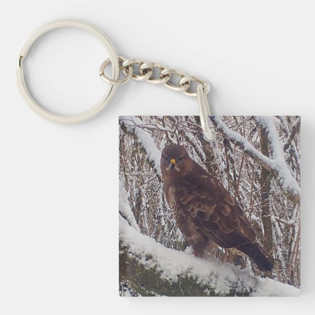 Llavero Buzzard en la rama de Snowy (Frente)