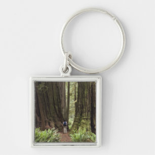 Llavero CA, Parque Estatal de Redwoods Jedediah Smith,