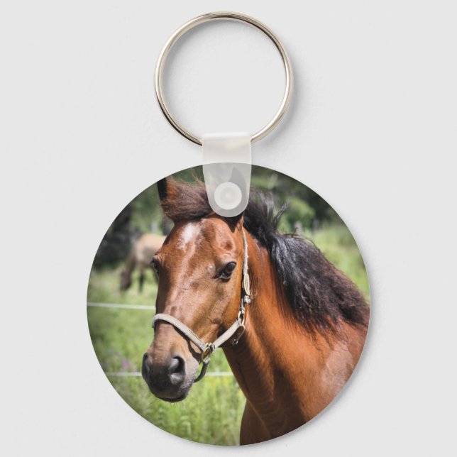 Llavero Caballo 8674 (Anverso)