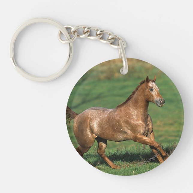 Llavero Caballo Appaloosa corriendo en campo de hierba (Frente)