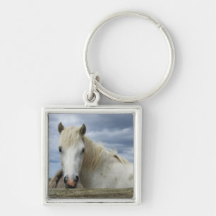 Llavero Caballo blanco el Francia