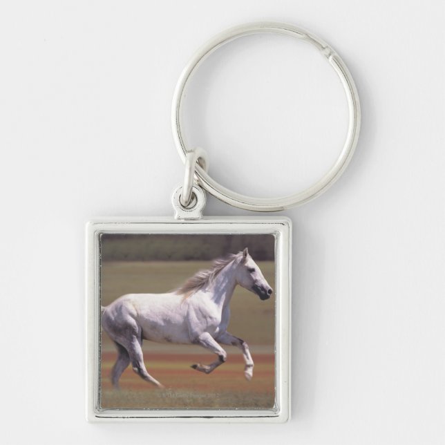 Llavero Caballo blanco que corre en campo (Frente)