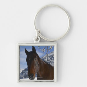 Llavero Caballo de Brown en invierno