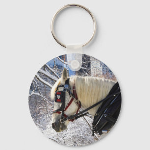 Llavero Caballo de carro del invierno Nevado en Central