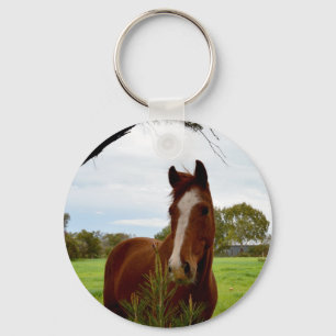 Llavero Caballo De Castaño Con Árbol De Banksia,