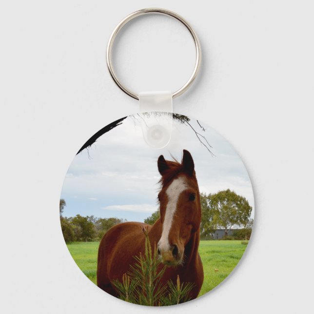 Llavero Caballo De Castaño Con Árbol De Banksia, (Anverso)
