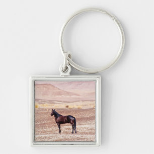 Llavero Caballo desierto P8664