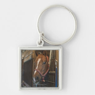 Llavero Caballo en parada