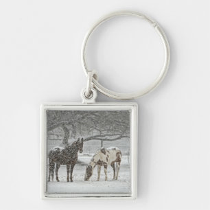 Llavero caballo invierno nieve granja rancho animales neva