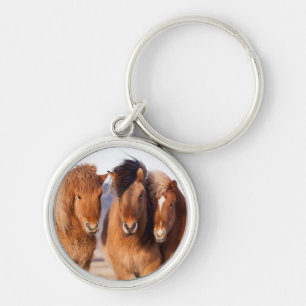 Llavero Caballo islandés durante el invierno