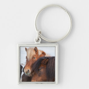 Llavero Caballo islandés durante el invierno en Islandia