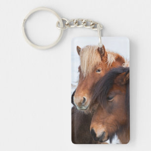 Llavero Caballo islandés durante el invierno en Islandia