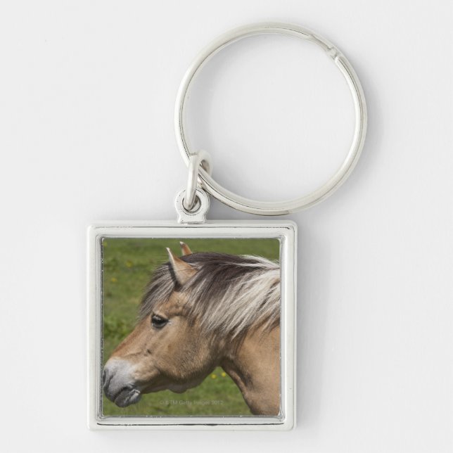 Llavero Caballo noruego del fiordo (Frente)