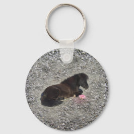 Llavero caballo pony shetty animal minicaballo