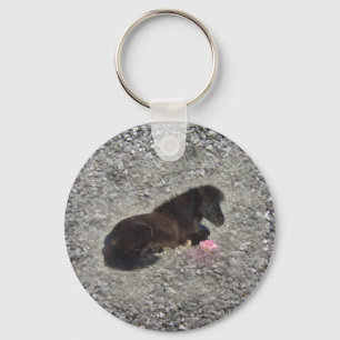 Llavero caballo pony shetty animal minicaballo