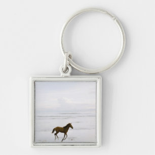 Llavero Caballo que corre en la playa