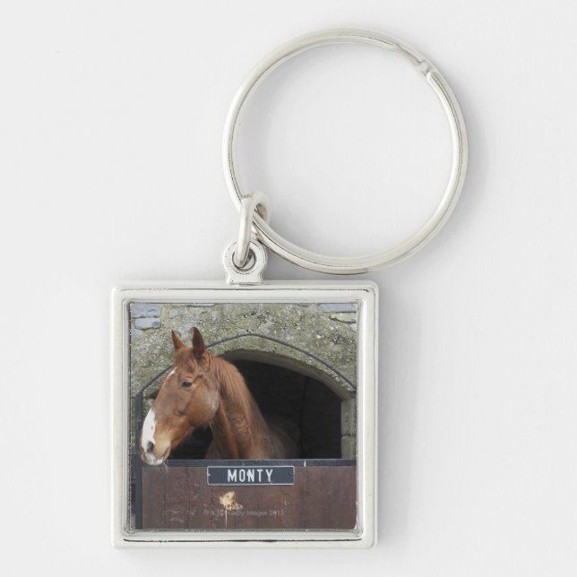 Llavero Caballo que se coloca de mirada fuera de su (Frente)