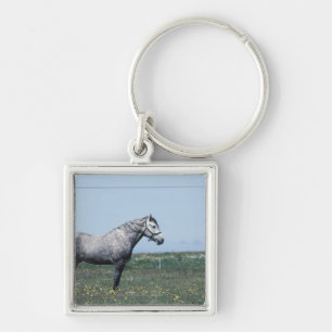 Llavero Caballo que se coloca en campo