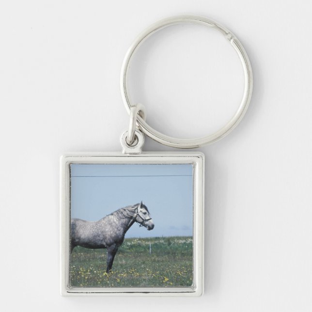 Llavero Caballo que se coloca en campo (Frente)